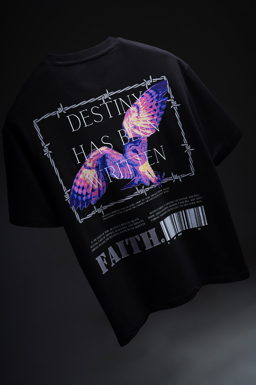 Destiny Oversized T-shirt